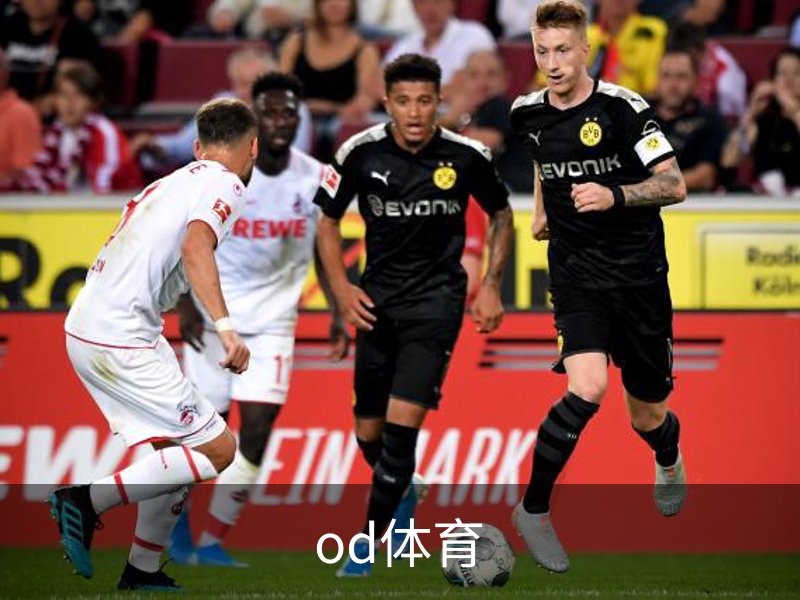 关于od体育